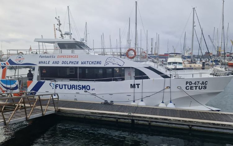Azzorre catamarano tour