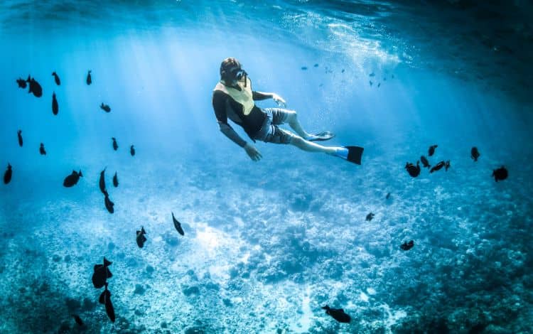 Attività a Miami: snorkelling 