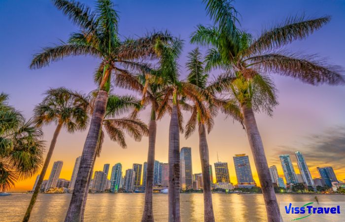 Skyline di Miami