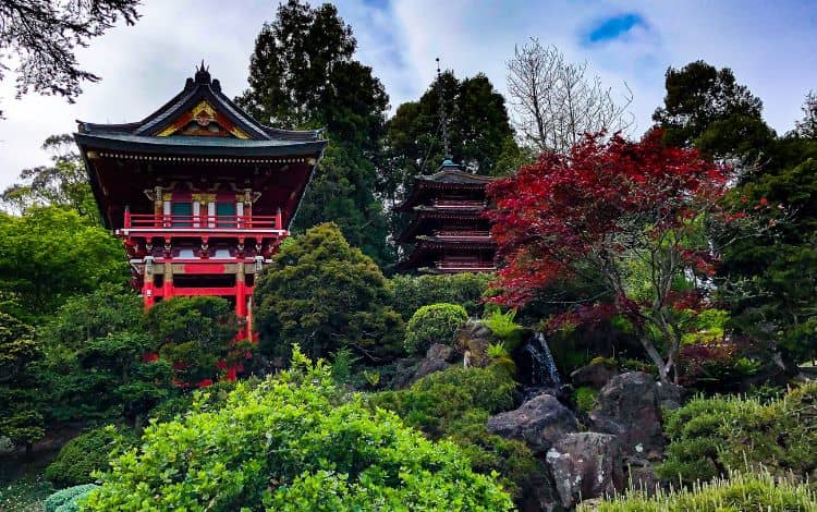 itinerario San Francisco: Golden Gate Park